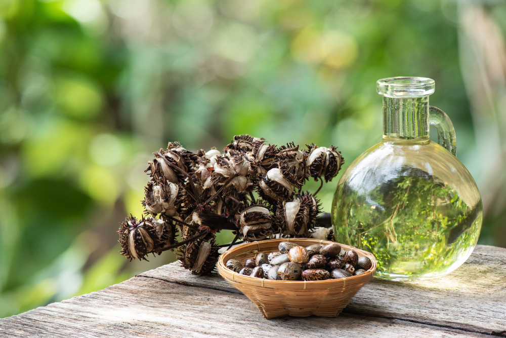 وصفات زيت الخروع لاطاله الشعر وزيادة نموه