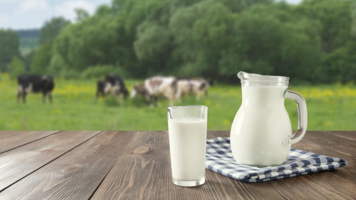الألبان والحليب هل هي سم أبيض أم مشروب صحي؟